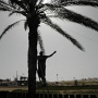 A palm tree for fixing one end of the doublet